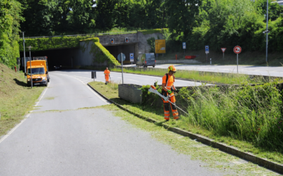 Mäharbeiten an der B 11-Einhausung Deggendorf